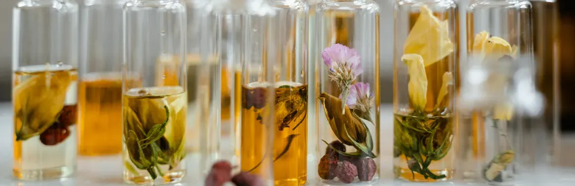 1172x380-blog-essential-oils-main-01